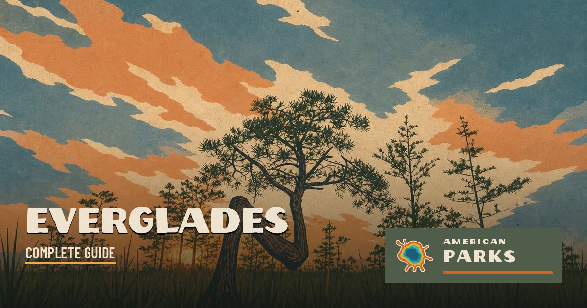 Everglades Map: Layout, Areas, and the Official Map to Download